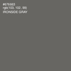 #676663 - Ironside Gray Color Image